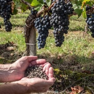 Sodo ir Ūkio Reikmenys