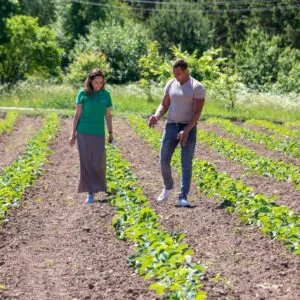 Mokymai, Konsultacijos