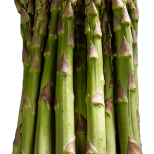 Smidrų daigai Aspalim A klasės