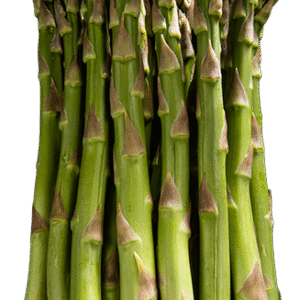 Smidrų daigai Gijnlim A klasės