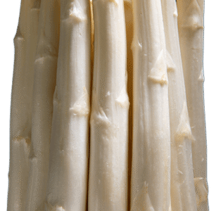 Smidrų daigai Vitalim A klasės